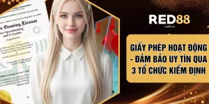 Giấy Phép Hoạt Động - Đảm Bảo Uy Tín Qua 3 Tổ Chức Kiểm Định