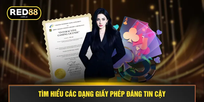 Tìm hiểu các dạng giấy phép đáng tin cậy