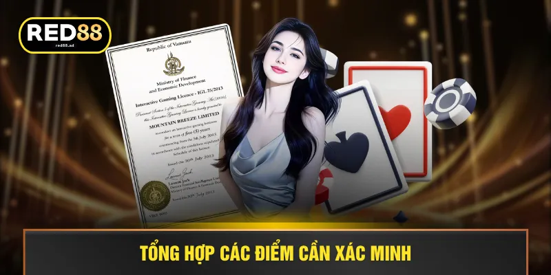 Tổng hợp các điểm cần xác minh 