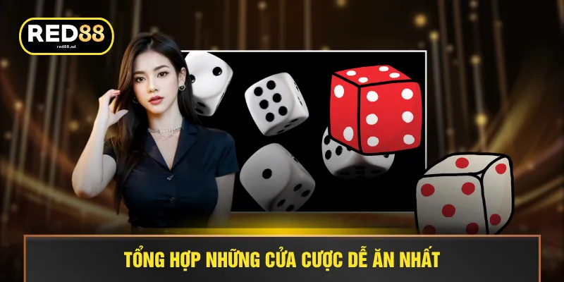 Tổng hợp những cửa cược dễ ăn nhất