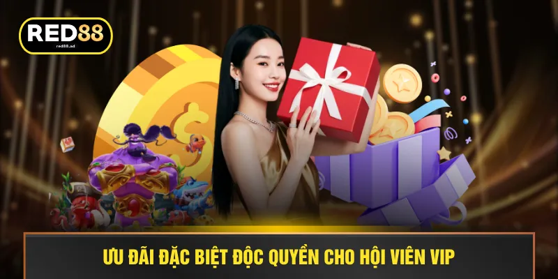Ưu đãi đặc biệt độc quyền cho hội viên VIP