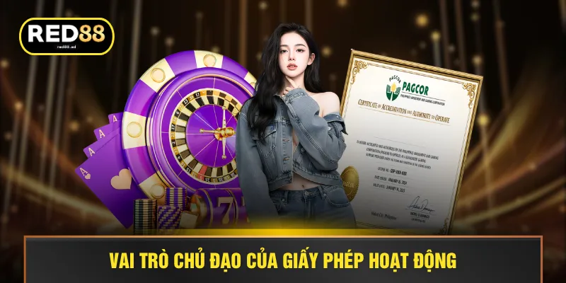 Vai trò chủ đạo của giấy phép hoạt động